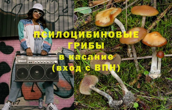 бутират Алзамай