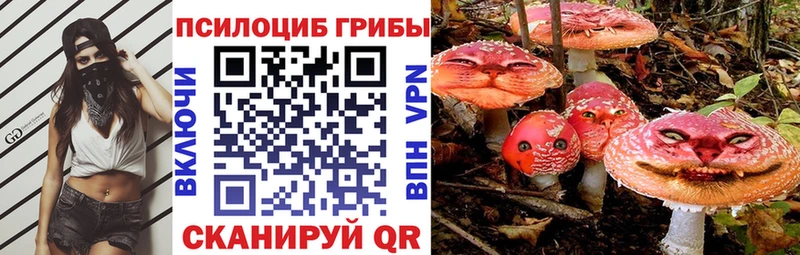 сколько стоит  Печоры  Галлюциногенные грибы Cubensis 